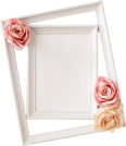 Paper Frames